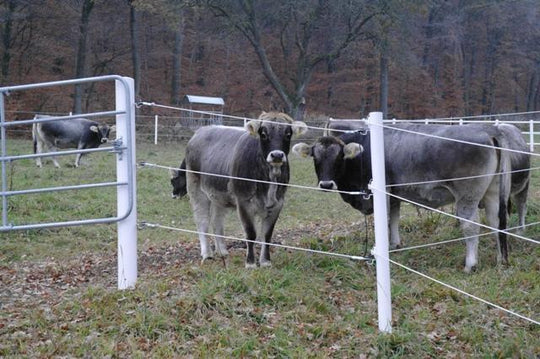 90mm x 2m Stängselstolpe 100 pack