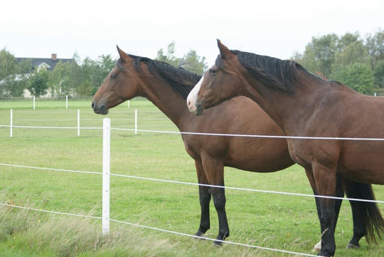 Stängselstolpe E65 ECO 1,8m -