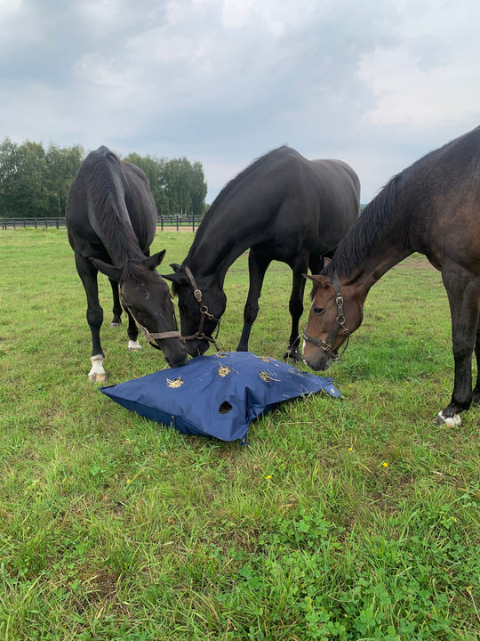 SaveHay Bag från GetRiding Navy - 