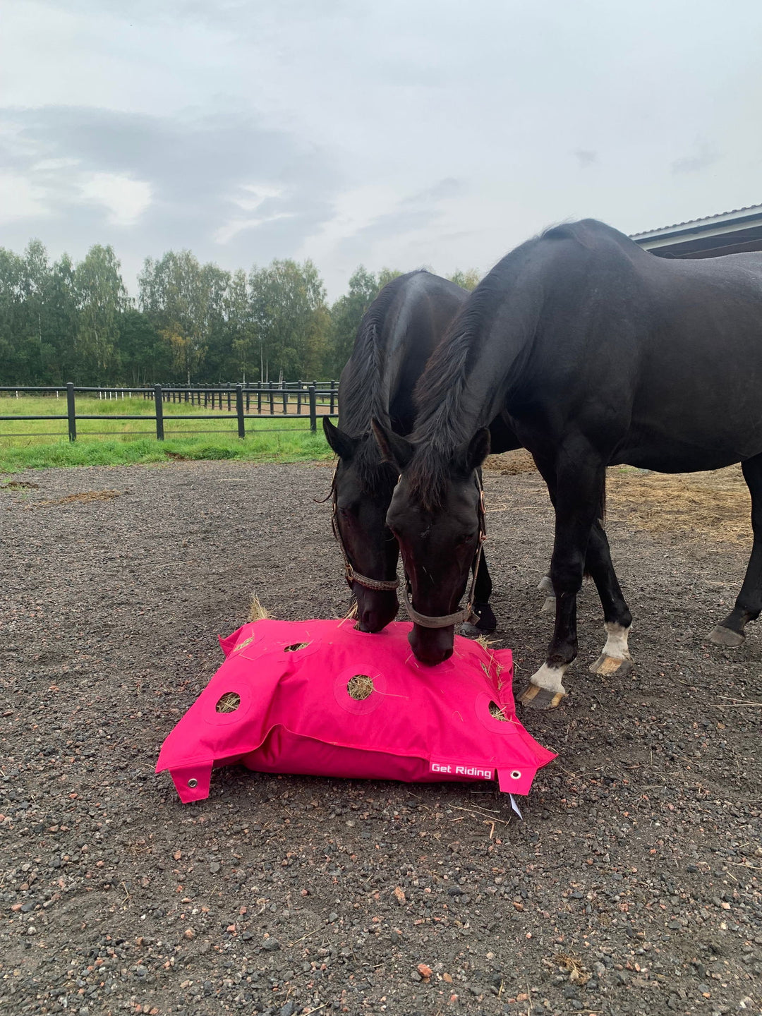 SaveHay Bag från GetRiding Rosa - 