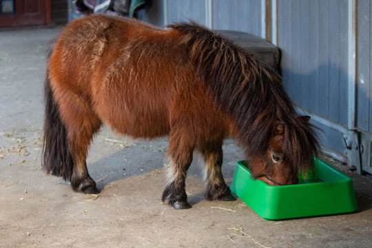 Slowfeed låda - 