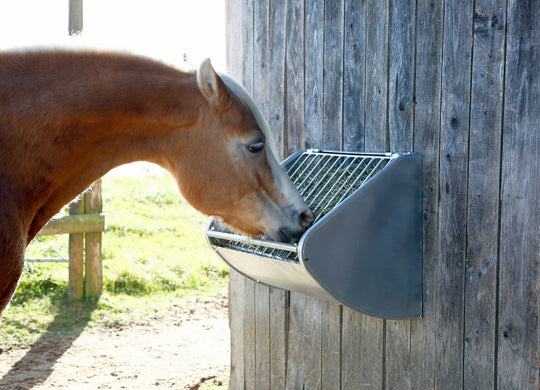 Slowfeeder / foderautomat för hästar